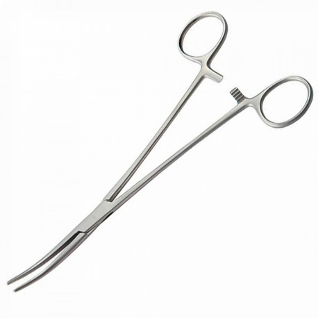PINCE DE BENGOLEA COURBE - 24 CM